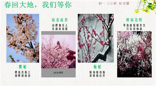 ˵: http://edu.nanjing.gov.cn/xwdt/gqdt/202003/W020200325716051481702.jpg