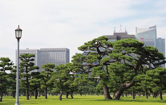 草地上的建筑
AI 生成的内容可能不正确。