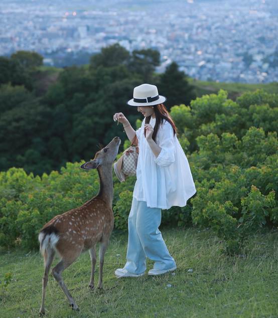人站在草地上的长颈鹿
AI 生成的内容可能不正确。